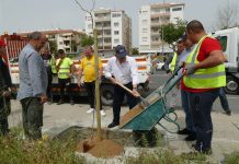 Πρασινίζουμε τη Λεμεσό!