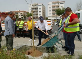 Πρασινίζουμε τη Λεμεσό!